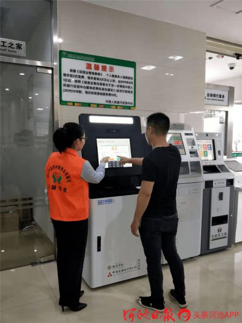 河池市个人信用报告代理自助查询服务正式启用，信息技术咨询赋能便捷金融