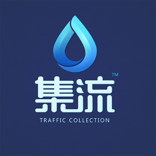一般经营项目是:物联信息咨询;安全技术防范系统设计;网络技术服务